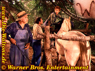 Sam Walton gibt dem Wildpferd ein Walton Brandzeichen. Gro&szlig;vater hatte es zuvor geschmiedet.